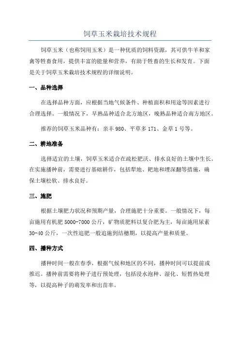 饲草玉米栽培技术规程