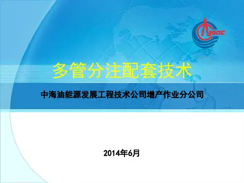 一井多用多管分注管柱工艺