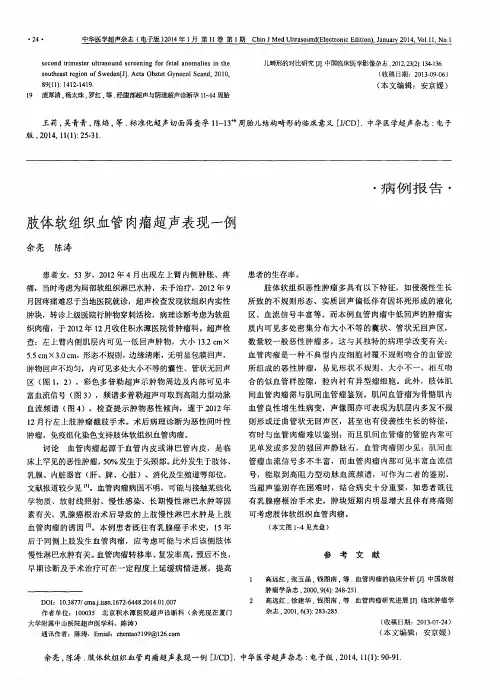 肢体软组织血管肉瘤超声表现一例