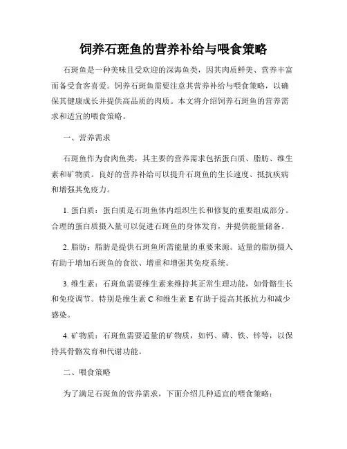 饲养石斑鱼的营养补给与喂食策略