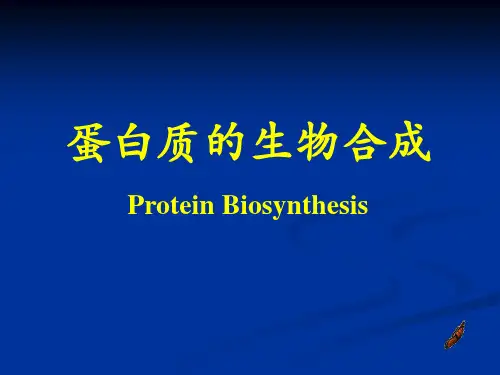 第十一章蛋白质的生物合成ppt课件