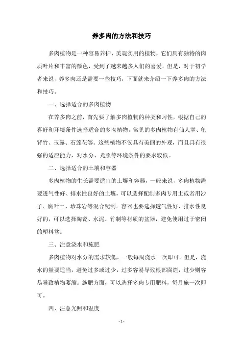 养多肉的方法和技巧