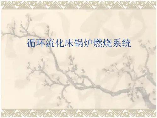 循环流化床锅炉原理--燃烧系统
