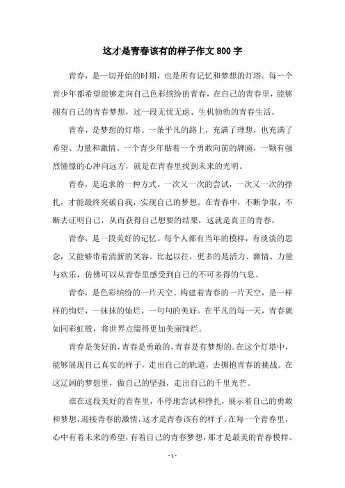 这才是青春该有的样子作文800字