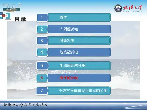 新能源及分布式发电技术chapter6