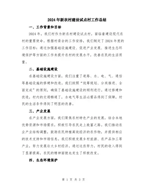 2024年新农村建设试点村工作总结