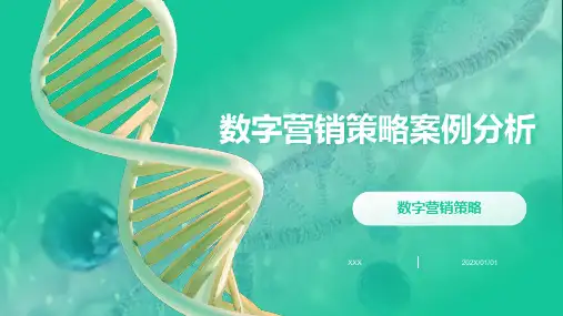 数字营销策略案例分析PPT模板