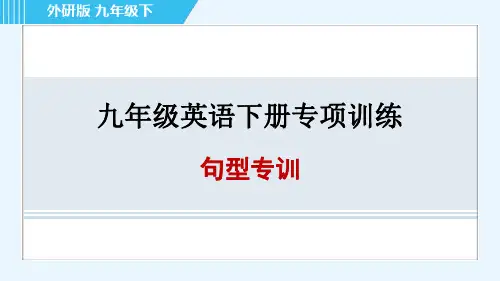 外研版九年级英语下册期末句型专训