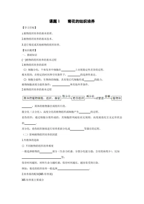 学案5：3.1菊花的组织培养