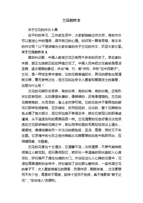 兰花的作文