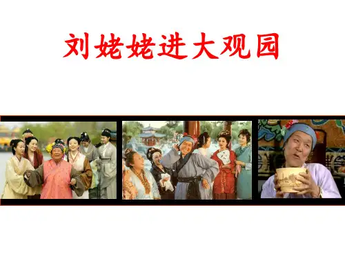 (名师整理)最新部编人教版语文9年级上册第24课《刘姥姥进大观园》精品课件