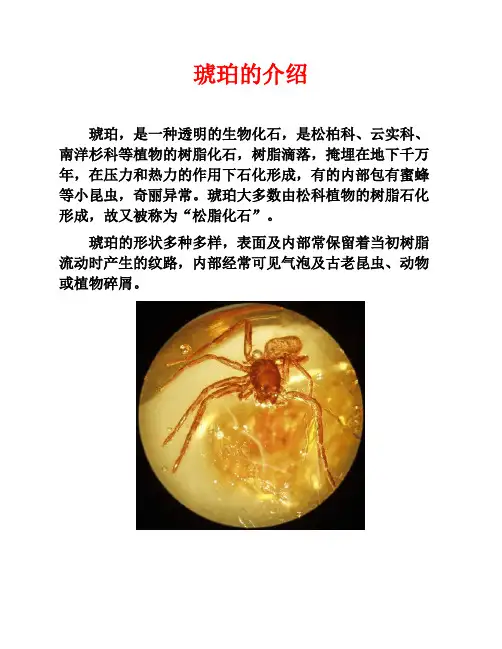 琥珀的介绍及鉴别方法
