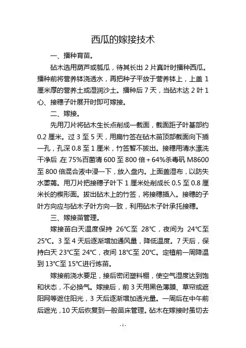 西瓜的嫁接技术
