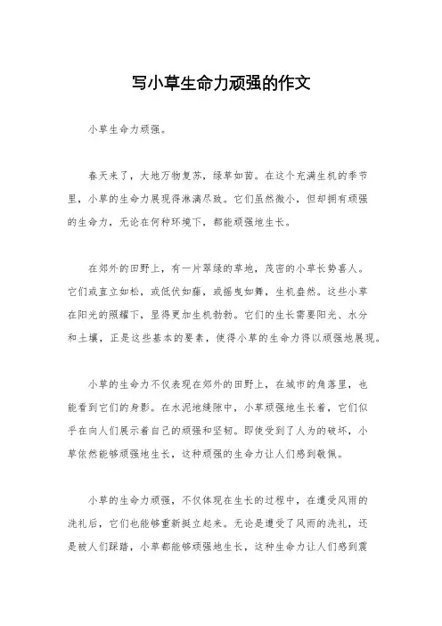 写小草生命力顽强的作文