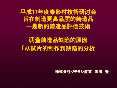 SEM铸造缺陷分析