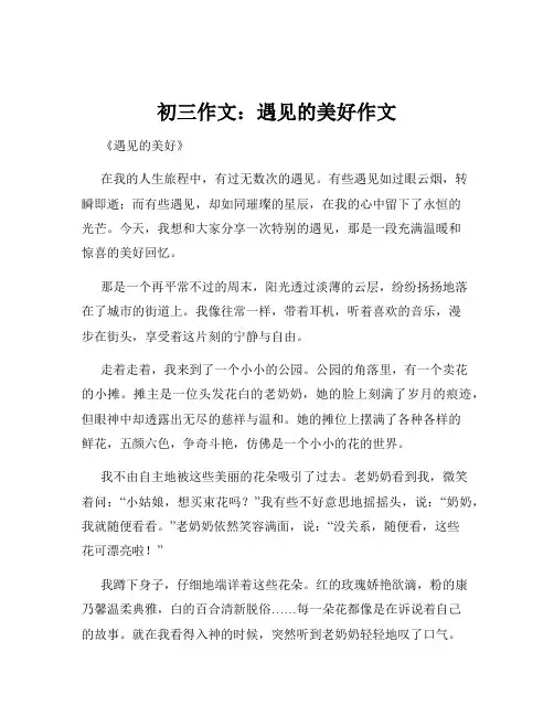 初三作文：遇见的美好作文