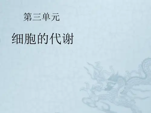 高中生物知识框架图讲解 第3单元 细胞的代谢(共24张PPT)