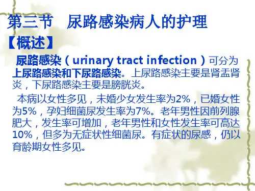 尿路感染的护理精品PPT课件