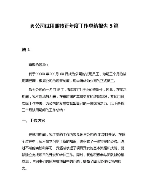 it公司试用期转正年度工作总结报告5篇