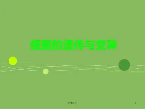 细菌的遗传与变异   ppt课件