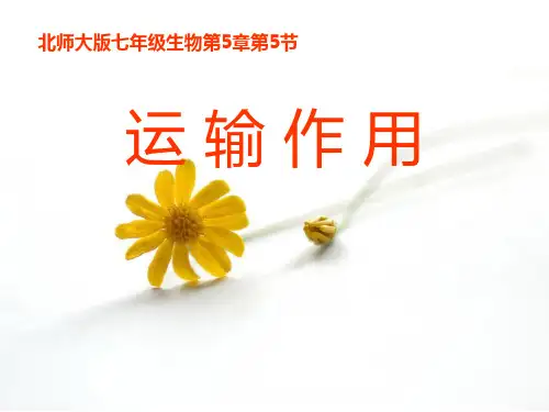 《运输作用》PPT教学课件教学课件