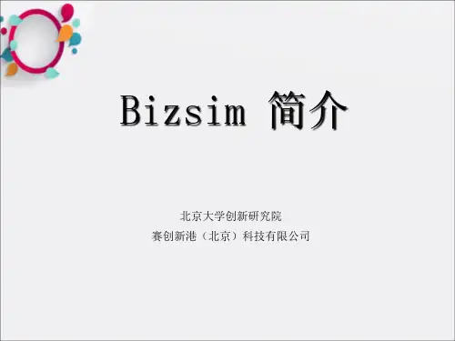 bizsim介绍
