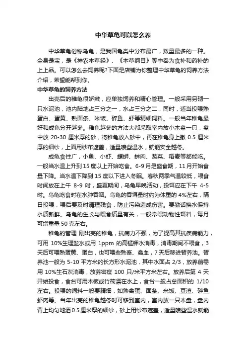 中华草龟可以怎么养