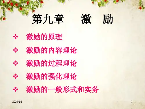 激励理论和激励的形式(ppt 46页)