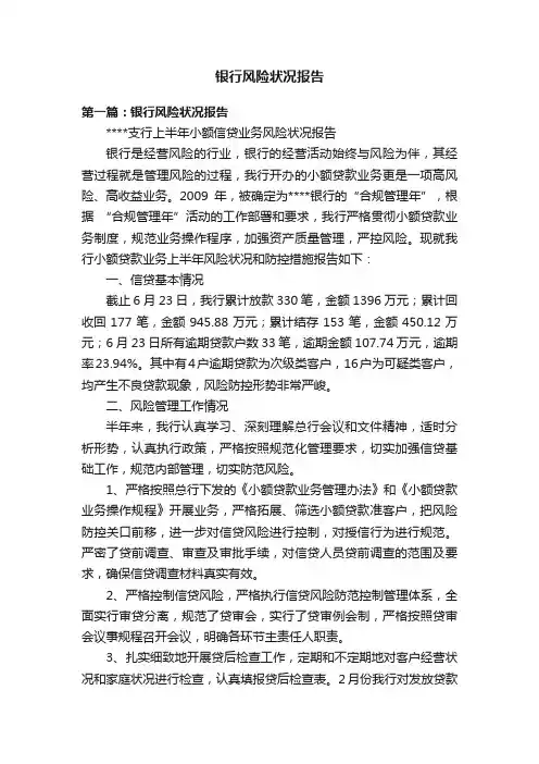 银行风险状况报告