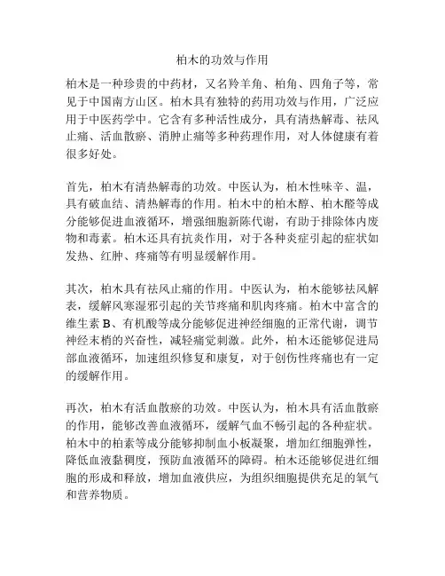 柏木的功效与作用