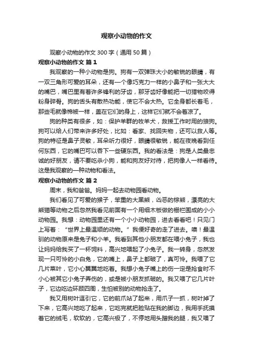 观察小动物的作文300字（通用50篇）