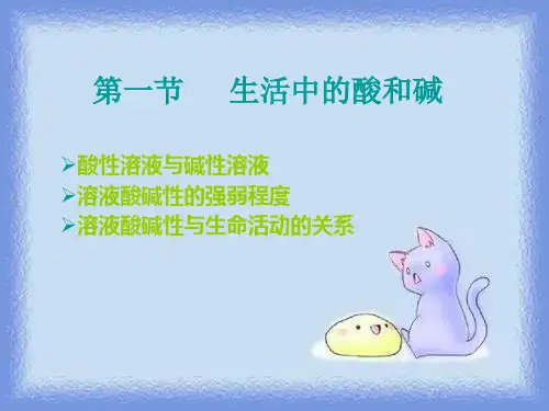 化学九年《生活中的酸和碱》精品课件