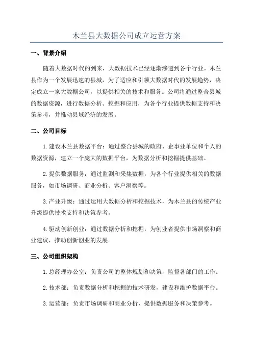 木兰县大数据公司成立运营方案