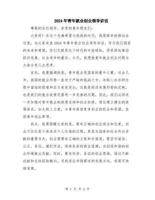 2024年青年就业创业领导讲话