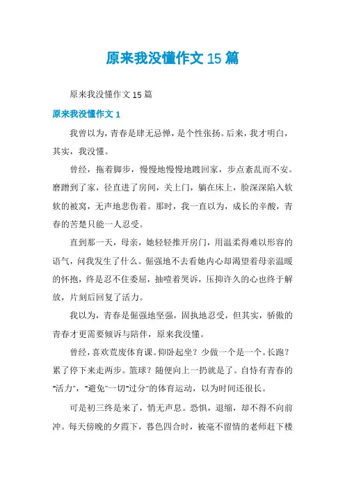 原来我没懂作文15篇