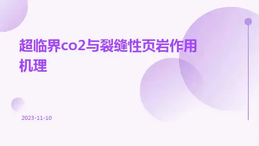 超临界CO2与裂缝性页岩作用机理