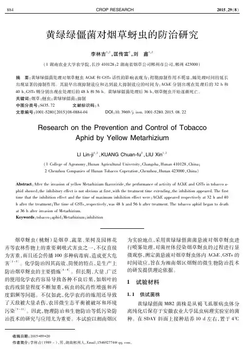 黄绿绿僵菌对烟草蚜虫的防治研究