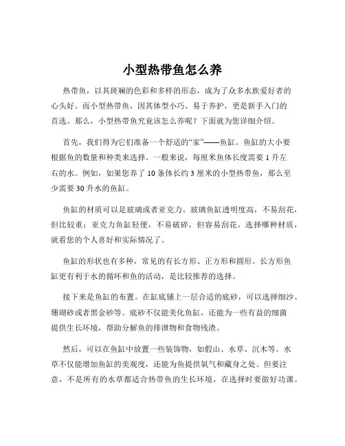 小型热带鱼怎么养