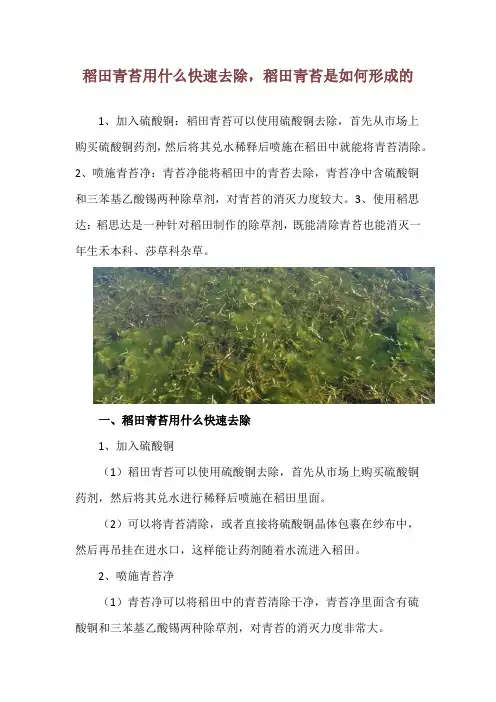 稻田青苔用什么快速去除,稻田青苔是如何形成的