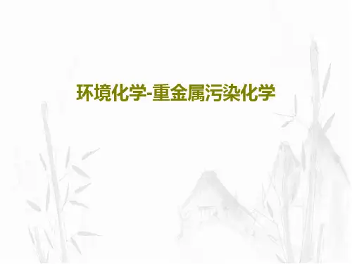 环境化学-重金属污染化学共39页文档