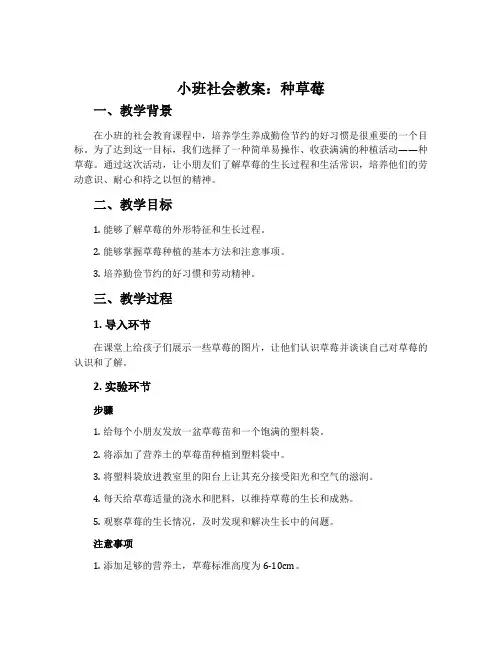 小班社会教案：种草莓