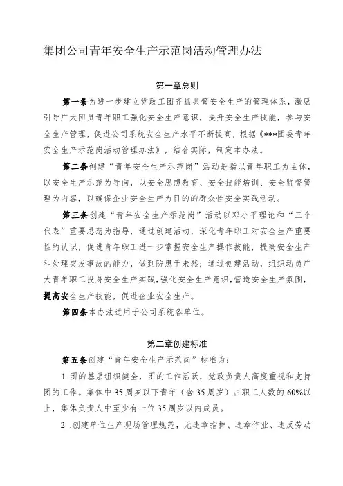 集团公司青年安全生产示范岗活动管理办法