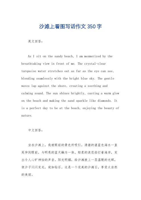 沙滩上看图写话作文350字