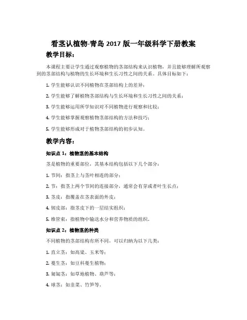 看茎认植物-青岛2017版一年级科学下册教案