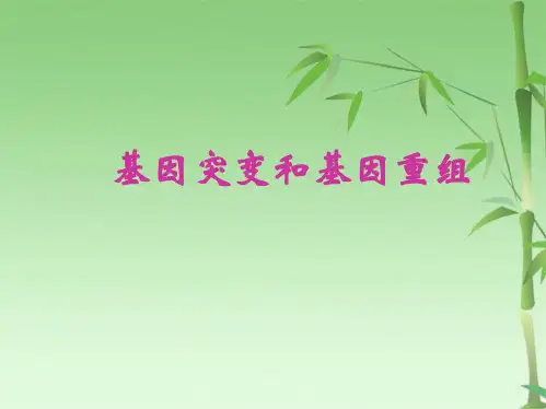 高中生物《第五章 第一节 基因突变和基因重组》课件5 新人教版必修2(共35张PPT)