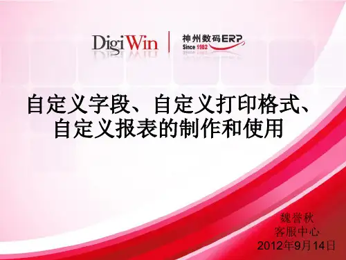 自定义字段、自定义打印格式、自定义报表的制作
