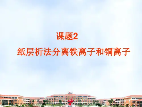 高中化学精品课件：纸层析法分析铜离子和铁离子