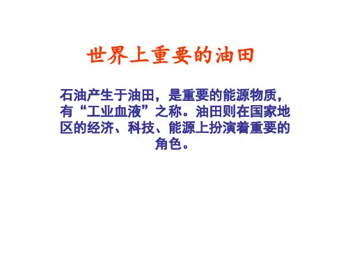 世界上重要的油田