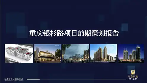2014重庆银杉路项目前期策划报告.ppt
