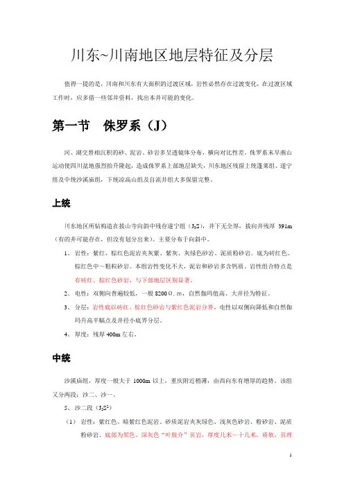 川东~川南地区地层特征及分层